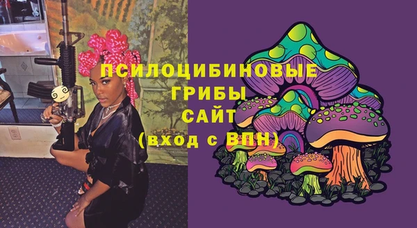 дмт Аркадак