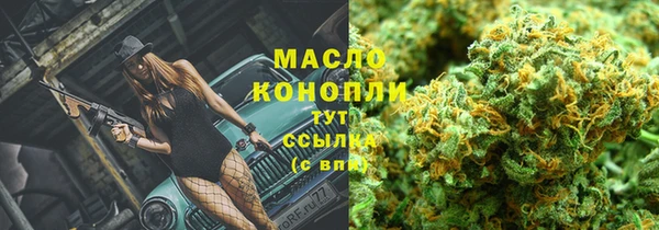сатива Арсеньев