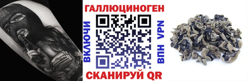 Псилоцибиновые грибы Cubensis  Починок 